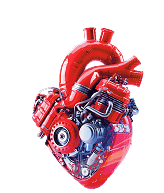 Motortec Madrid Dolor Sit Amet